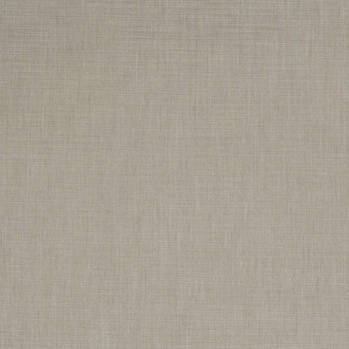 Echo Ash C57005