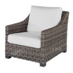 Avallon Club Chair