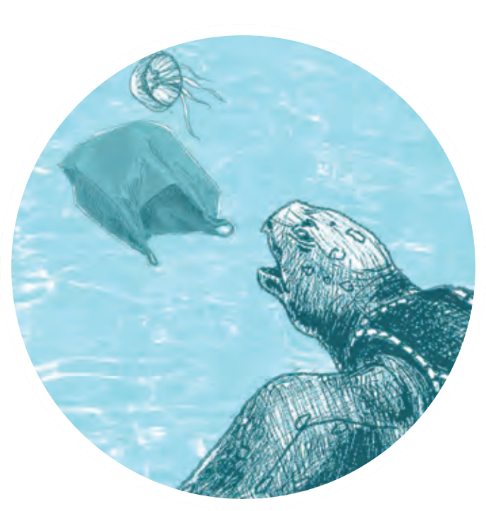 2.png Turtle eating plastic