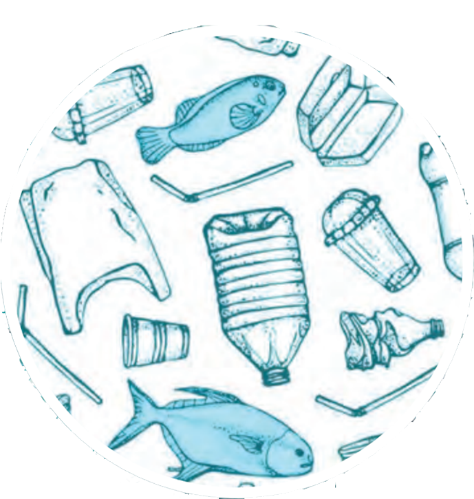 6.png Fish with plastic containers