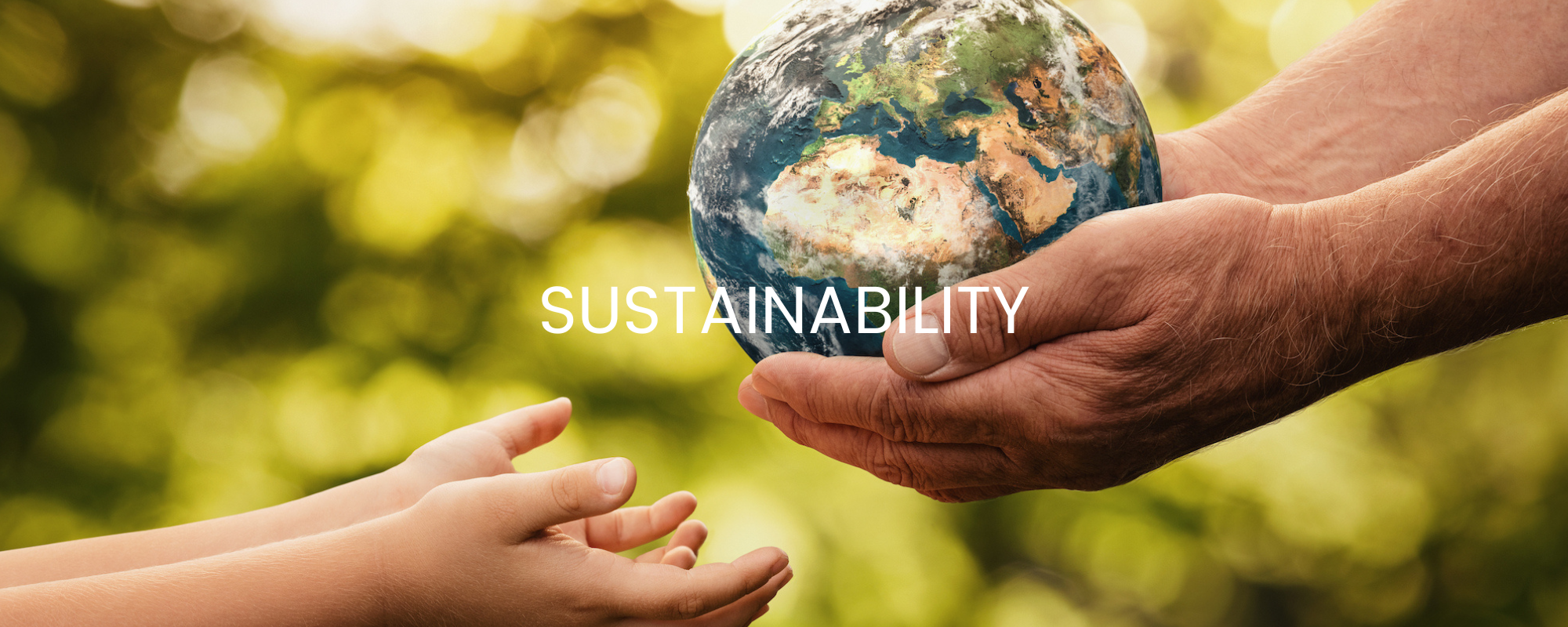 Sustainability.png Sustainability