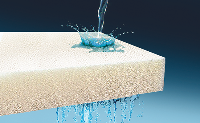 Reticulated-Cushion-v1.png Reticulated Cushion