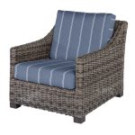 Avallon Club Chair