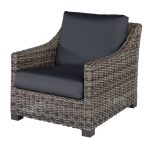Avallon Club Chair