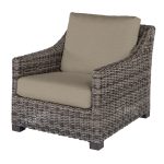 Avallon Club Chair