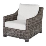 Avallon Club Chair