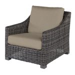 Avallon Club Chair