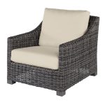 Avallon Club Chair