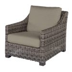 Avallon Club Chair