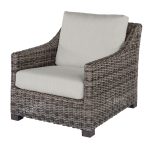 Avallon Club Chair