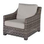 Avallon Club Chair