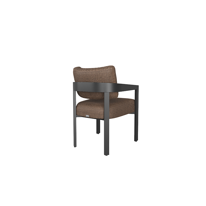 caro-dining-arm-chair_onyx_hazel - Back