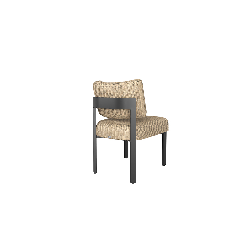 caro-dining-side-chair_onyx_barley - Back